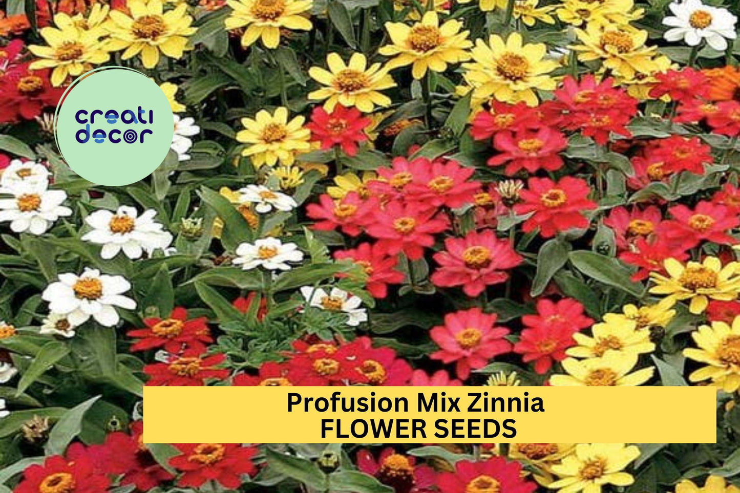 100+ Profusion Mix Zinnia Seeds – Bright Blooming Annuals for Garden Planting, Heat-Tolerant Flower Mix for Beds & Borders – USA