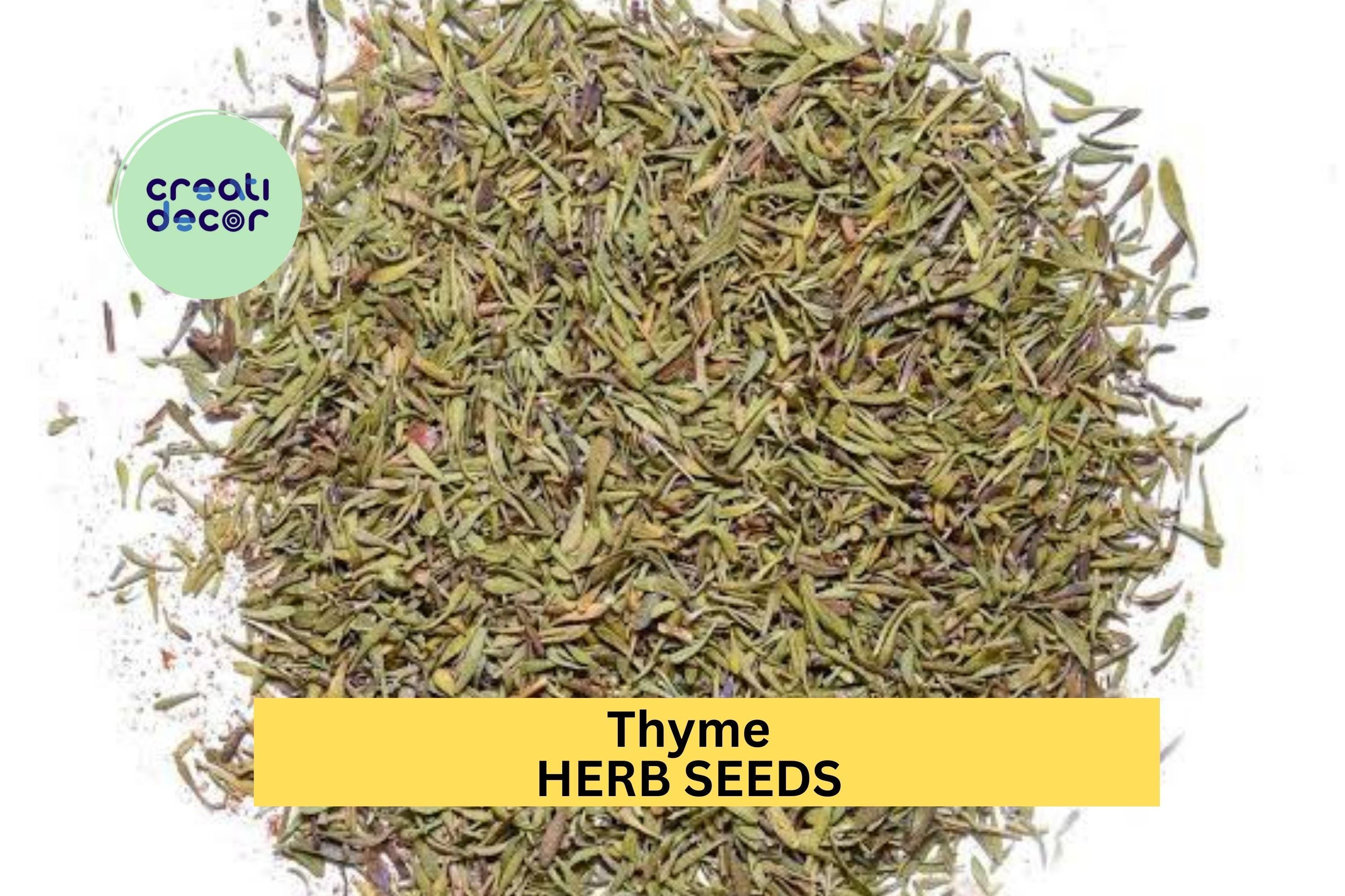 3pcs of 100mg Thyme Seeds – Aromatic Culinary Herb for Containers, Borders, Rock Gardens, and Kitchen Garden Planting Seeds for Planting