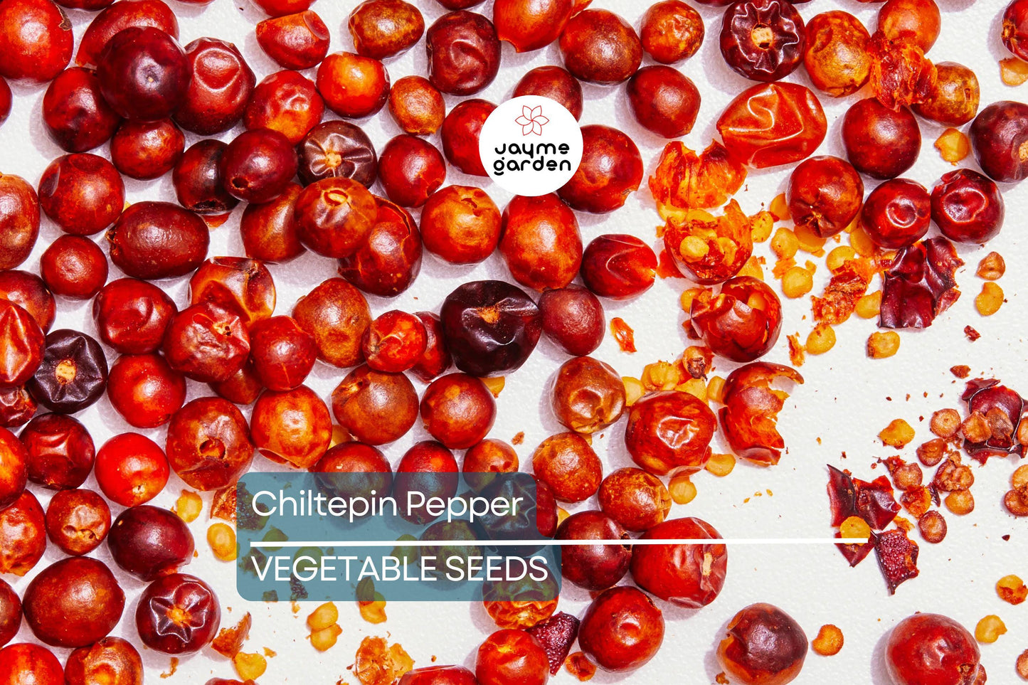 25 Chiltepin Pepper Seeds - Wild Hot Pepper, 50,000-250,000 SHU, 3-4 Ft Tall, Non-GMO, USA Seller