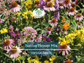 1000 Seeds Native Flower Mix for Monarchs & Milkweed Butterflies, Non-GMO, Includes Asclepias and Wildflowers