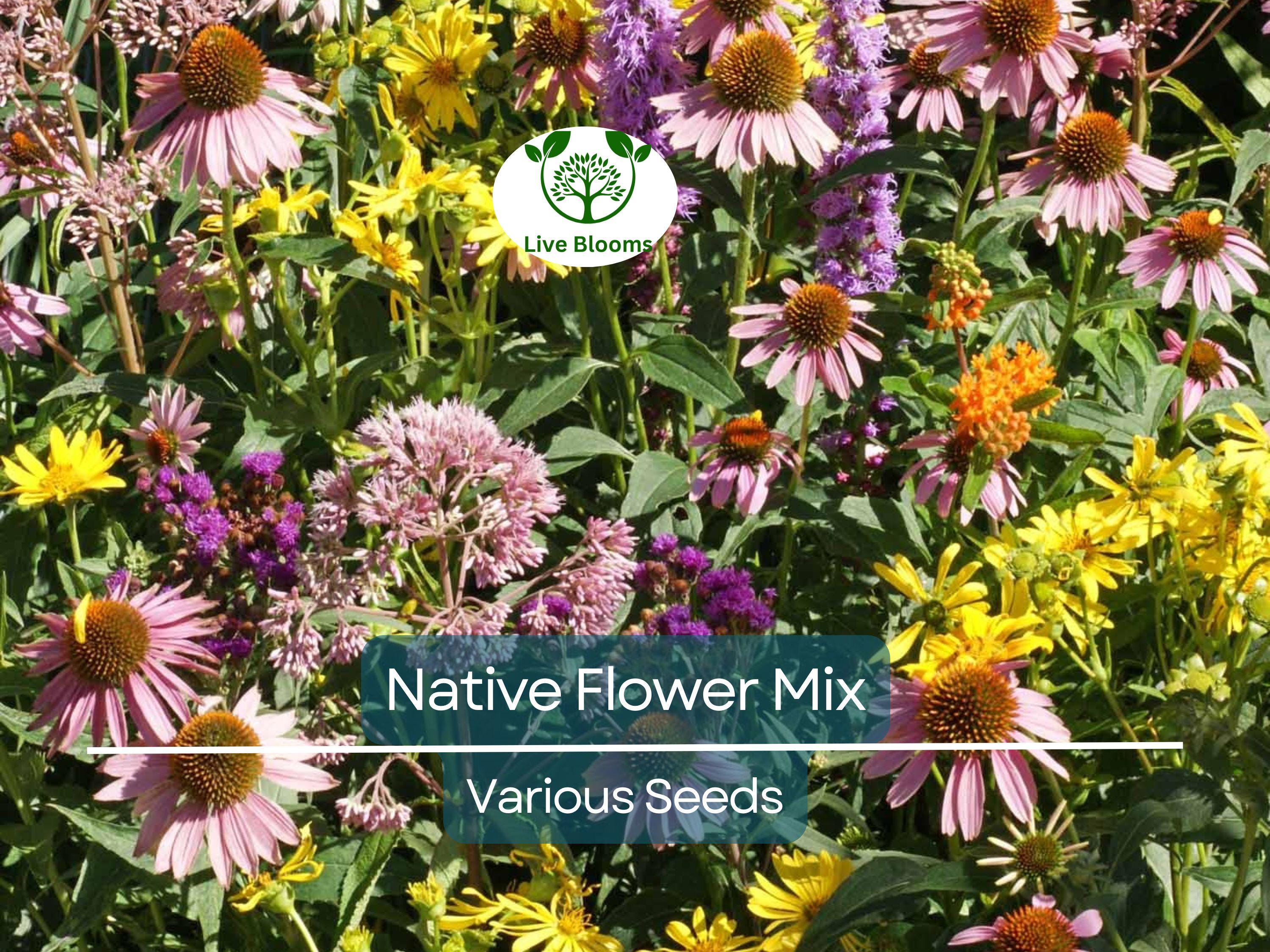 1000 Seeds Native Flower Mix for Monarchs & Milkweed Butterflies, Non-GMO, Includes Asclepias and Wildflowers