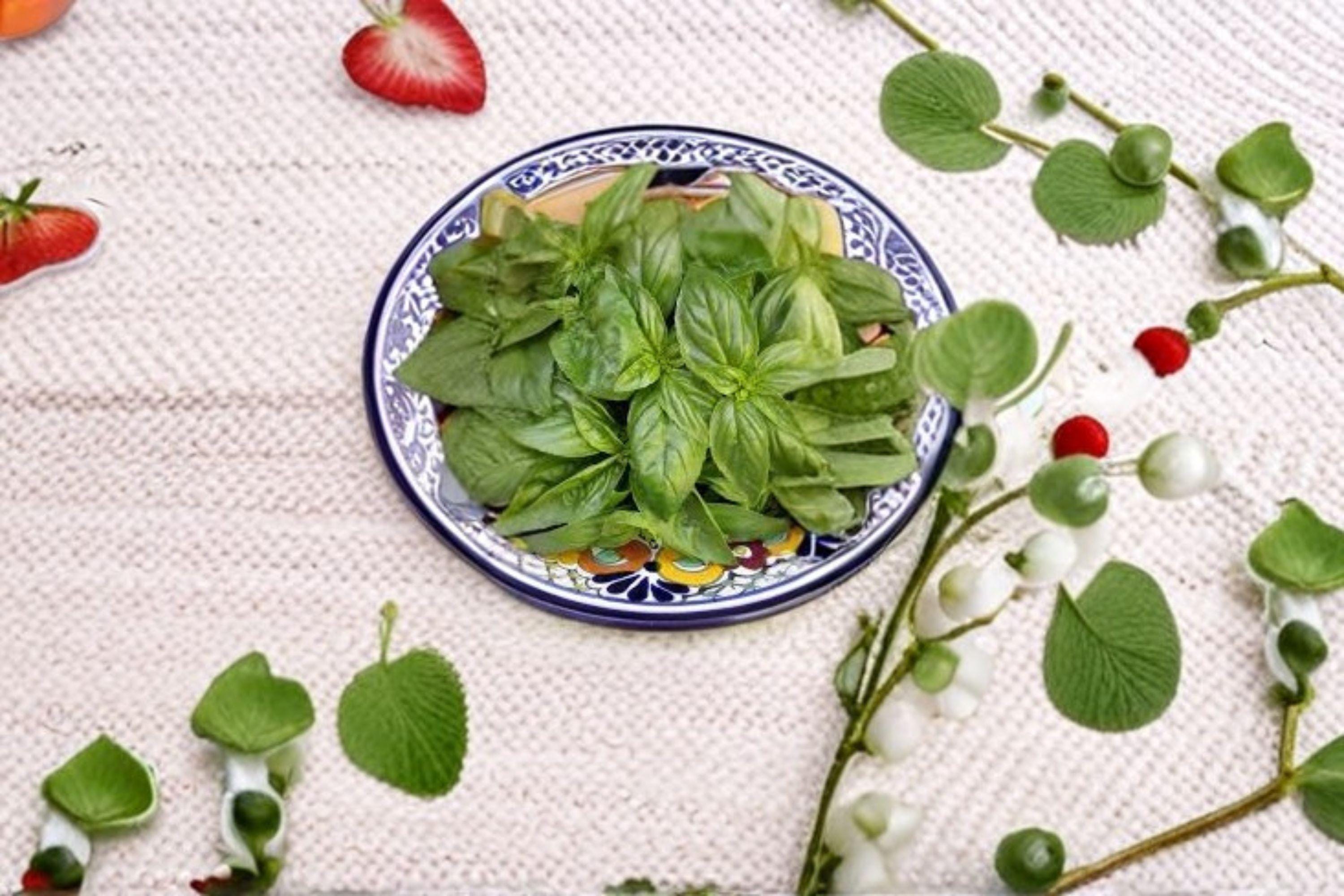 Basil – Genovese 700 Seeds | Classic Italian Basil | Large Aromatic Leaves | Perfect for Pesto
