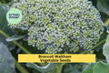3pcs x 1g Broccoli Waltham Seeds – Heirloom Variety for Garden Beds, Raised Rows, or Container Vegetable Growing Seeds for Planting
