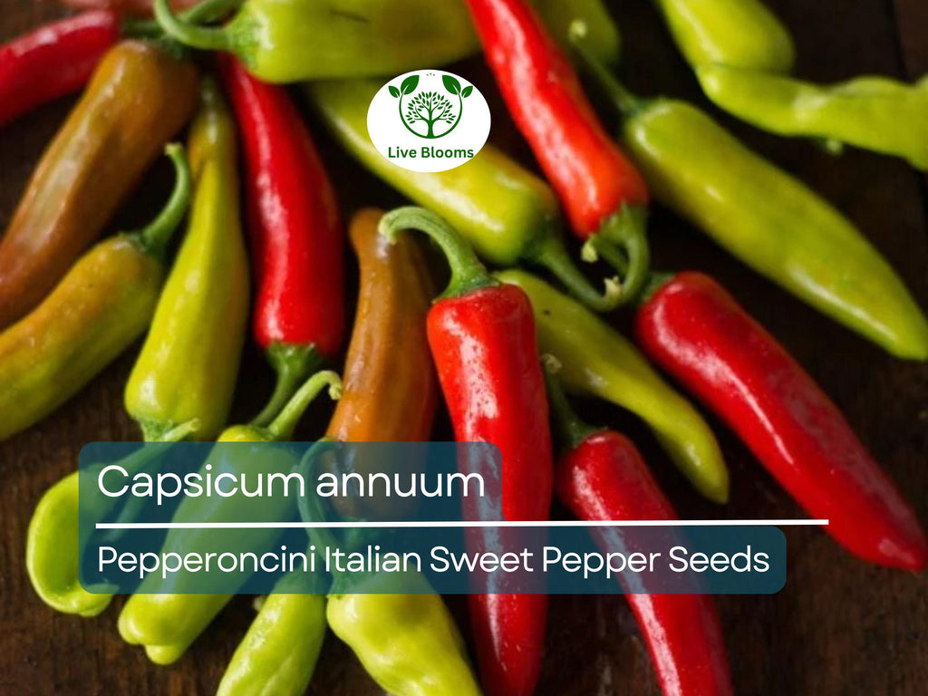 250 mg Pepperoncini Italian Sweet Pepper Seeds - Capsicum annuum | Heirloom Mild Pepper for Planting, Pickling & Culinary Use