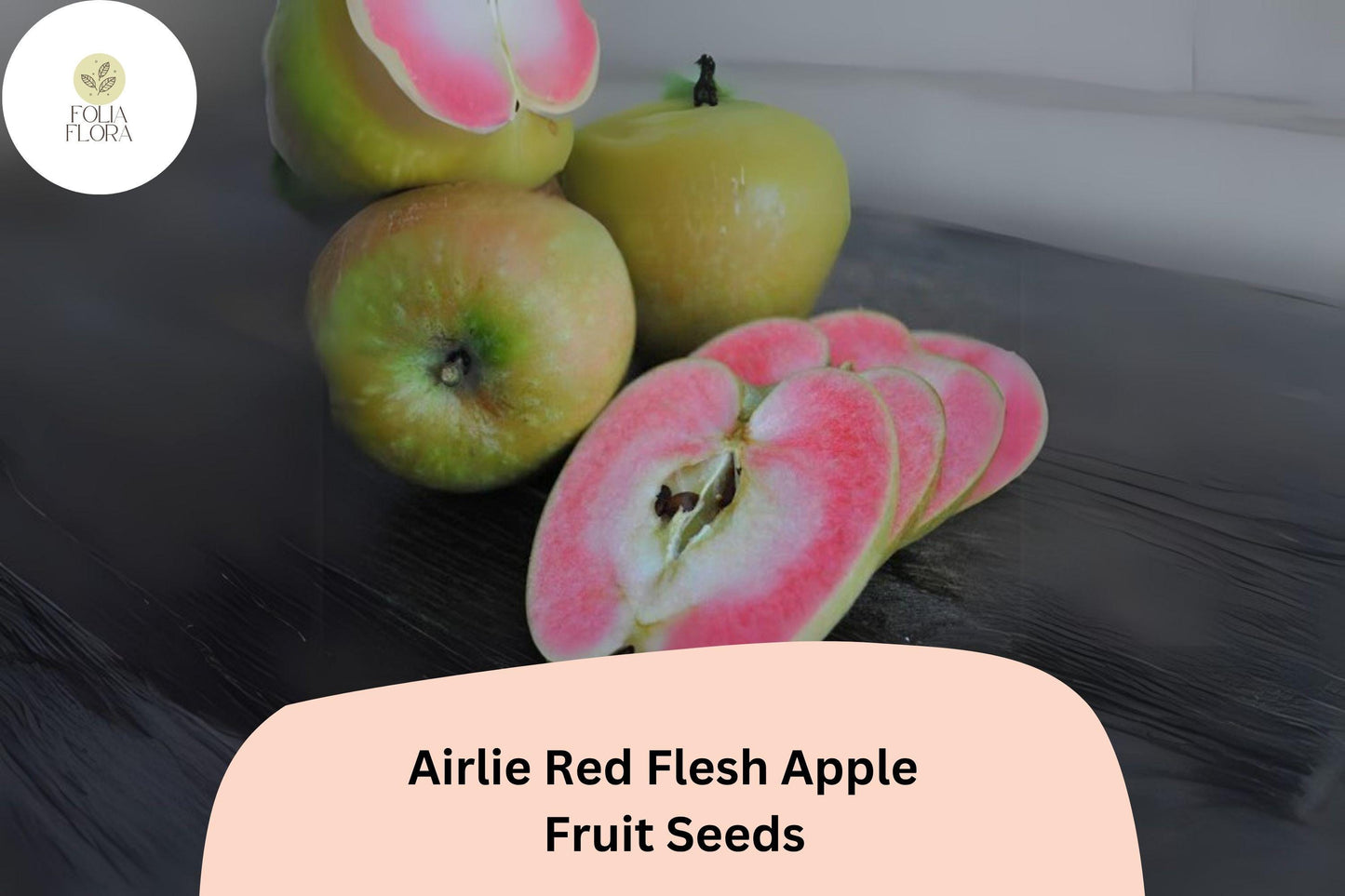 25+ Airlie Red Flesh Apple Seeds | Rare Heirloom Variety | Red Interior Fruit | Organic Garden Planting | Crisp & Sweet Flavor