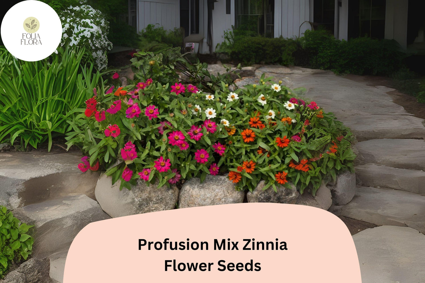Profusion Mix Zinnia Seeds: Colorful, Compact Blooms - Pollinator Friendly