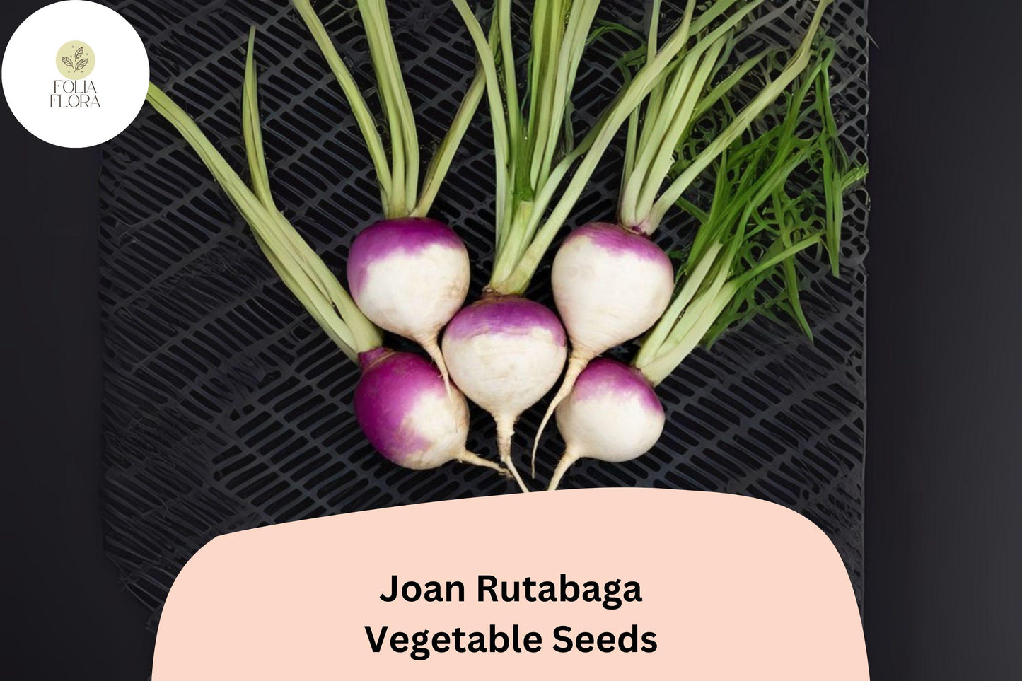 500+ Joan Rutabaga Seeds – Heirloom Brassica Root Vegetable Seeds for Garden Planting