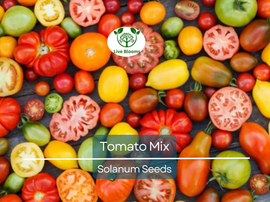 100 Heirloom Tomato Mix Seeds – Colorful Open-Pollinated Varieties | Lycopersicon esculentum | Non-GMO | Bright & Flavorful