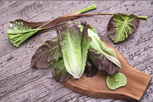 Red Romaine Lettuce 700 Seeds | Classic Romaine Type | Crisp Leaves | Colorful Salad Green