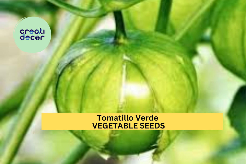 3pcs of 100mg Tomatillo Verde Seeds – Tart Green Husk Tomato for Salsa Verde & Cooking – Easy Grow Vegetable Seeds for Planting