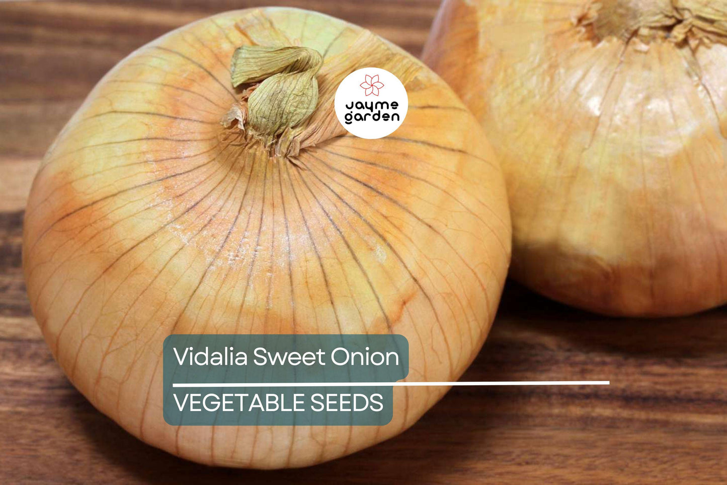 500 Treated Vidalia Sweet Onion Seeds | Non-GMO Heirloom | Early Grano Short-Day Variety