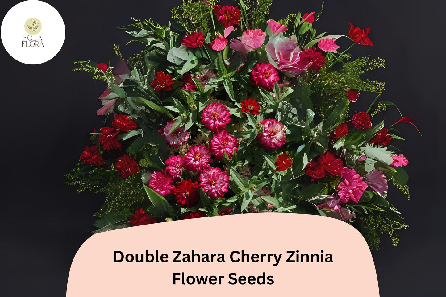 100+ Double Zahara Cherry Zinnia Seeds | Bright Red-Pink Flowers | Easy Annual Garden Blooms | Heat & Drought Tolerant