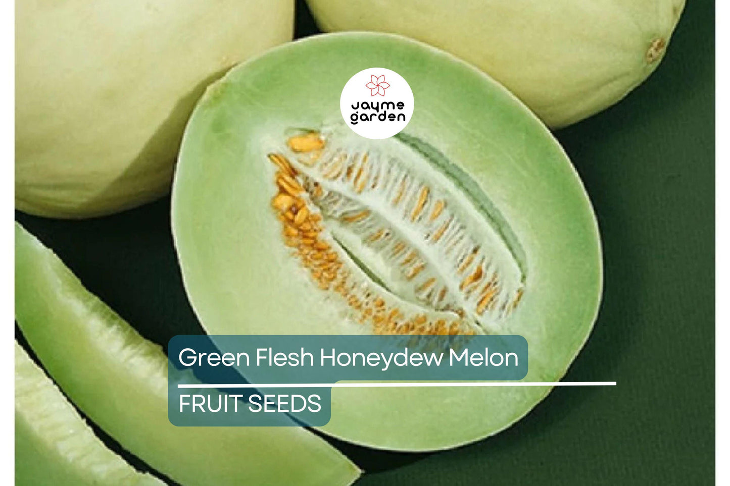 100 Green Flesh Honeydew Melon Seeds – Non-GMO, Sweet Emerald Green Flesh, Vining, 105 Days, Free Shipping, USA Seller!