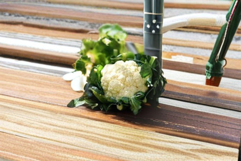 Cauliflower – Snowball Y Improved 100 Seeds | Heirloom Cauliflower | Pure White Heads | Reliable Cool-Season Crop