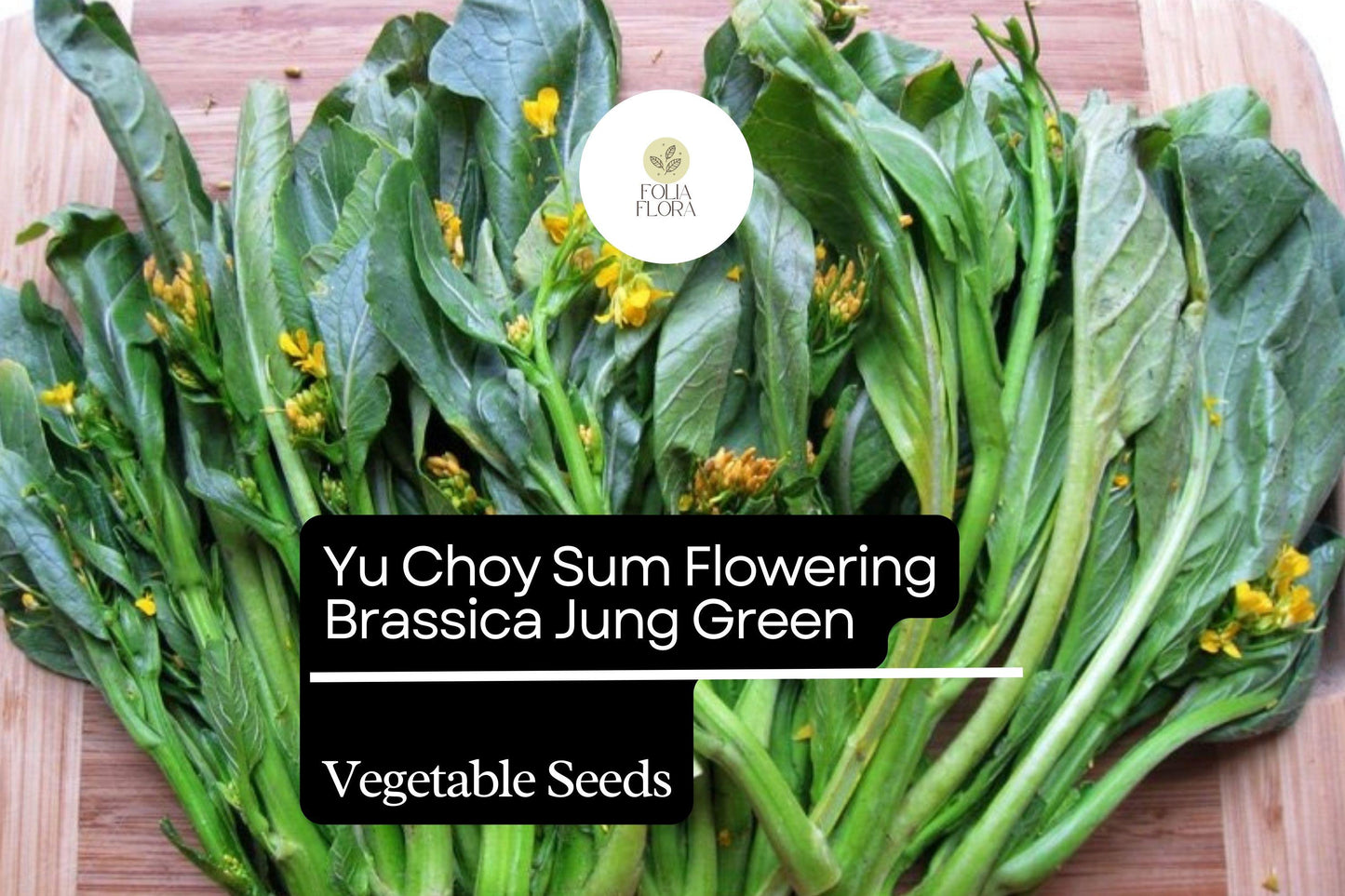 500mg Yu Choy Sum Seeds Brassica rapa Flowering Jung Green for Planting | Heirloom Asian Greens Tender Stalks & Yellow Flowers