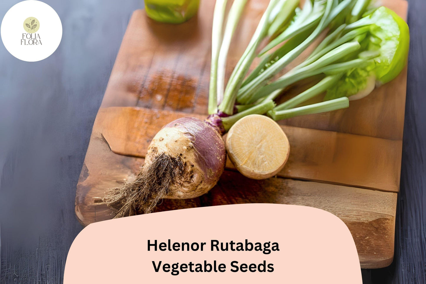500+ Helenor Rutabaga Seeds – Heirloom Brassica Root Vegetable Seeds for Garden Planting