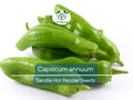 250 mg Sandia Hot Pepper Seeds - Capsicum annuum | New Mexican Heirloom for Planting, Spicy Chili Pepper for Salsas, Cooking, & Home Gardens