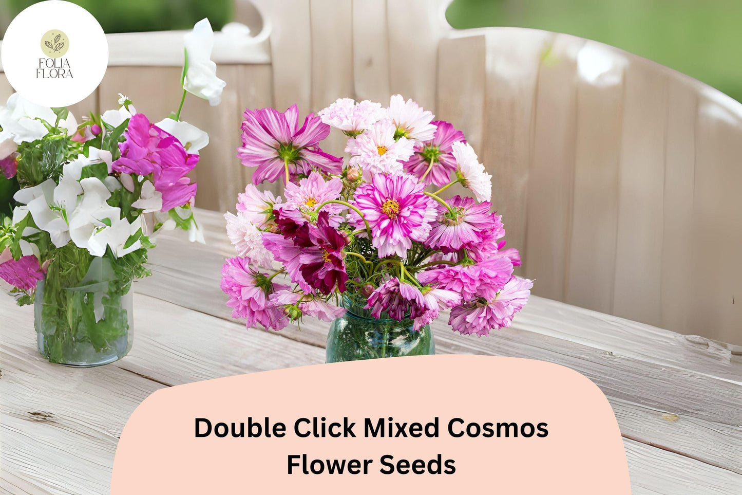 200+ Double Click Mixed Cosmos Seeds | Cosmos Bipinnatus Double Blooms | Colorful Cut Flower Garden Seeds