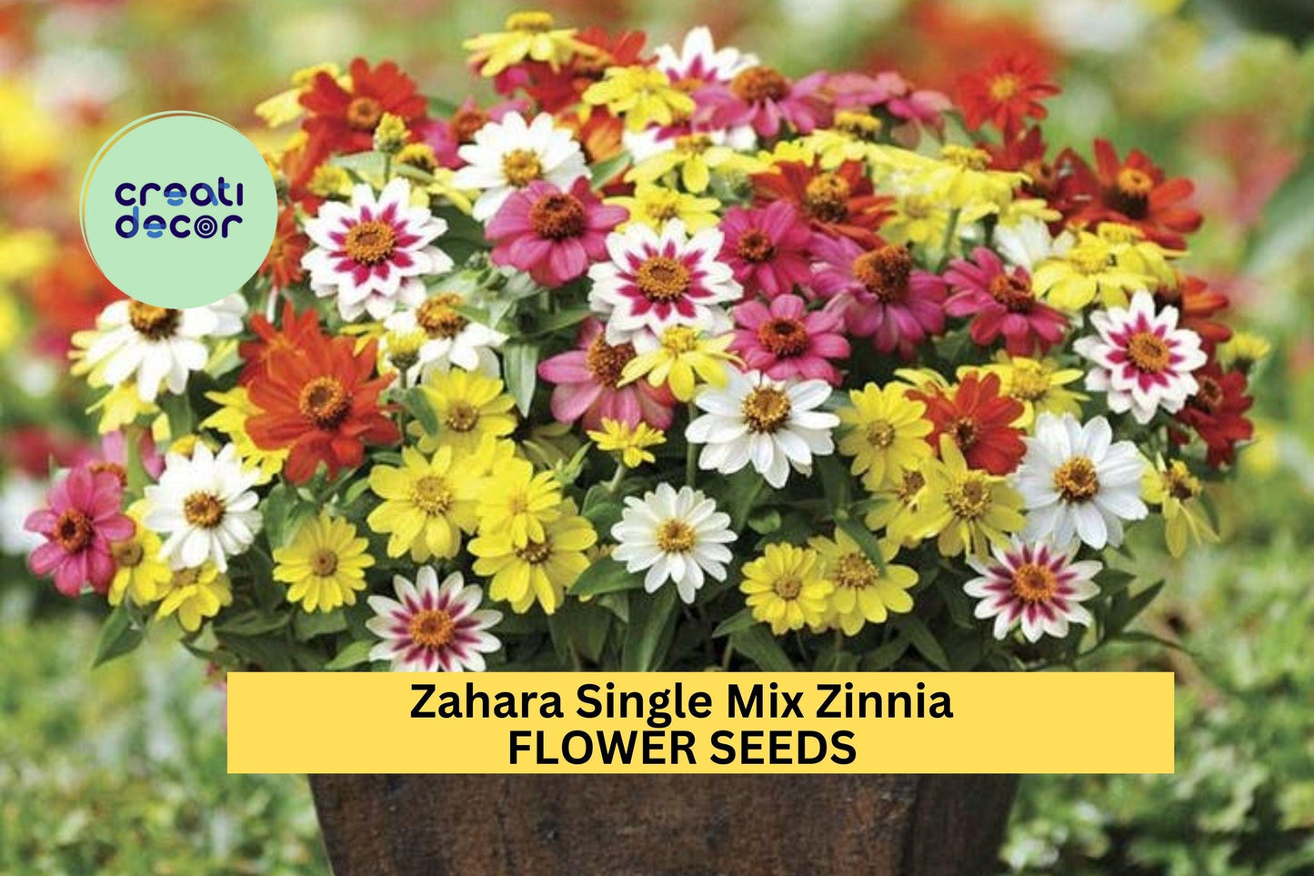 100+ Zahara Single Mix Zinnia Seeds – Bright Single Blooms for Garden Planting, Heat & Drought Tolerant Annual Flowers – USA