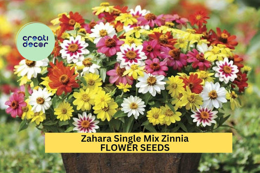 100+ Zahara Single Mix Zinnia Seeds – Bright Single Blooms for Garden Planting, Heat & Drought Tolerant Annual Flowers – USA