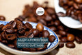 Arabica Coffee Plant | Live Rooted Starter | Grow & Brew Your Own Coffee | Indoor and Outdoor | Great Gift for Coffee Lovers