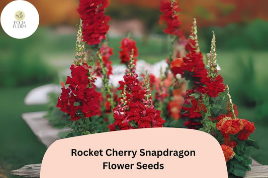 Antirrhinum majus Rocket Cherry Snapdragon Seeds – 1000+ Vibrant Cherry-Red Blooms for Garden & Cut Flowers