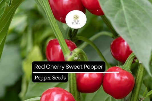 25 Sweet Red Cherry Pepper Seeds – Heirloom, Non-GMO, Mild & Flavorful, High Yield, Easy to Grow