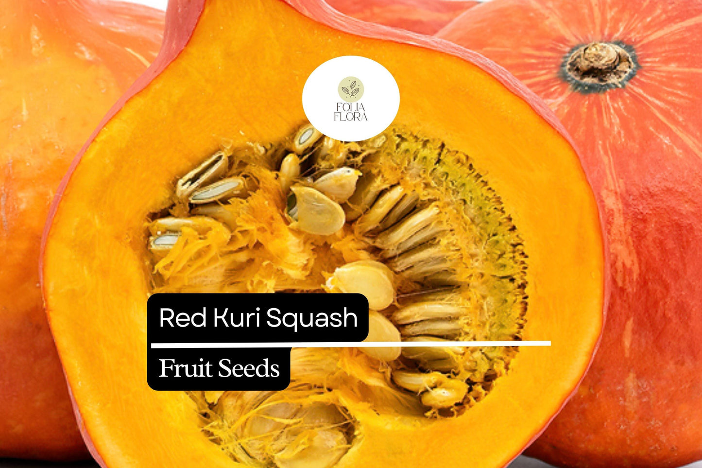 10 Seeds Red Kuri Squash (Cucurbita maxima) – Sweet & Nutty Winter Squash for Roasting and Baking