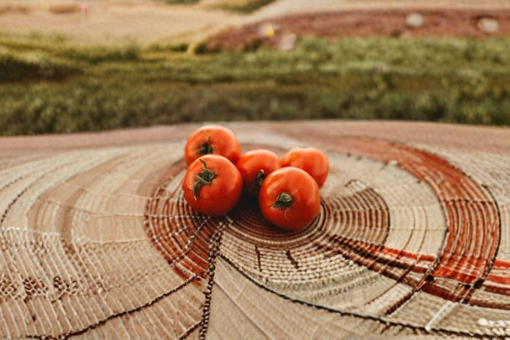 Tomato – Super Sioux 30 Seeds | Heat-Tolerant Heirloom | Early Producer | Excellent Flavor