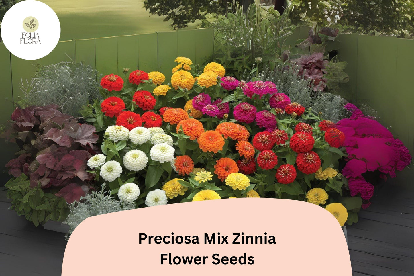 100+ Preciosa Mix Zinnia Seeds | Colorful Annual Garden Flowers | Easy Grow, Cut Flower Variety, Pollinator Friendly