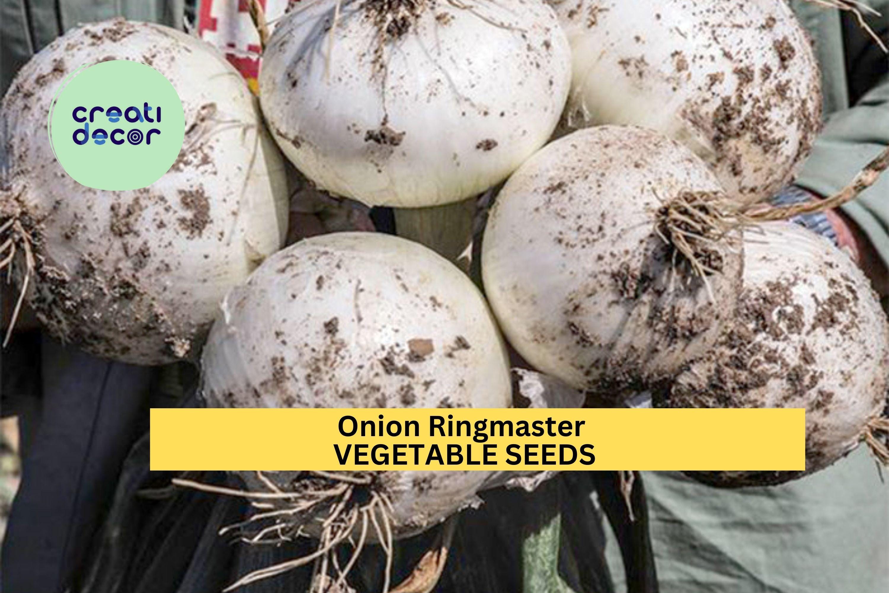 3pcs of 250mg Onion Ringmaster Seeds – Large Sweet White Bulbs – Great for Onion Rings, Sandwiches & Summer Gardens Seeds for Planting