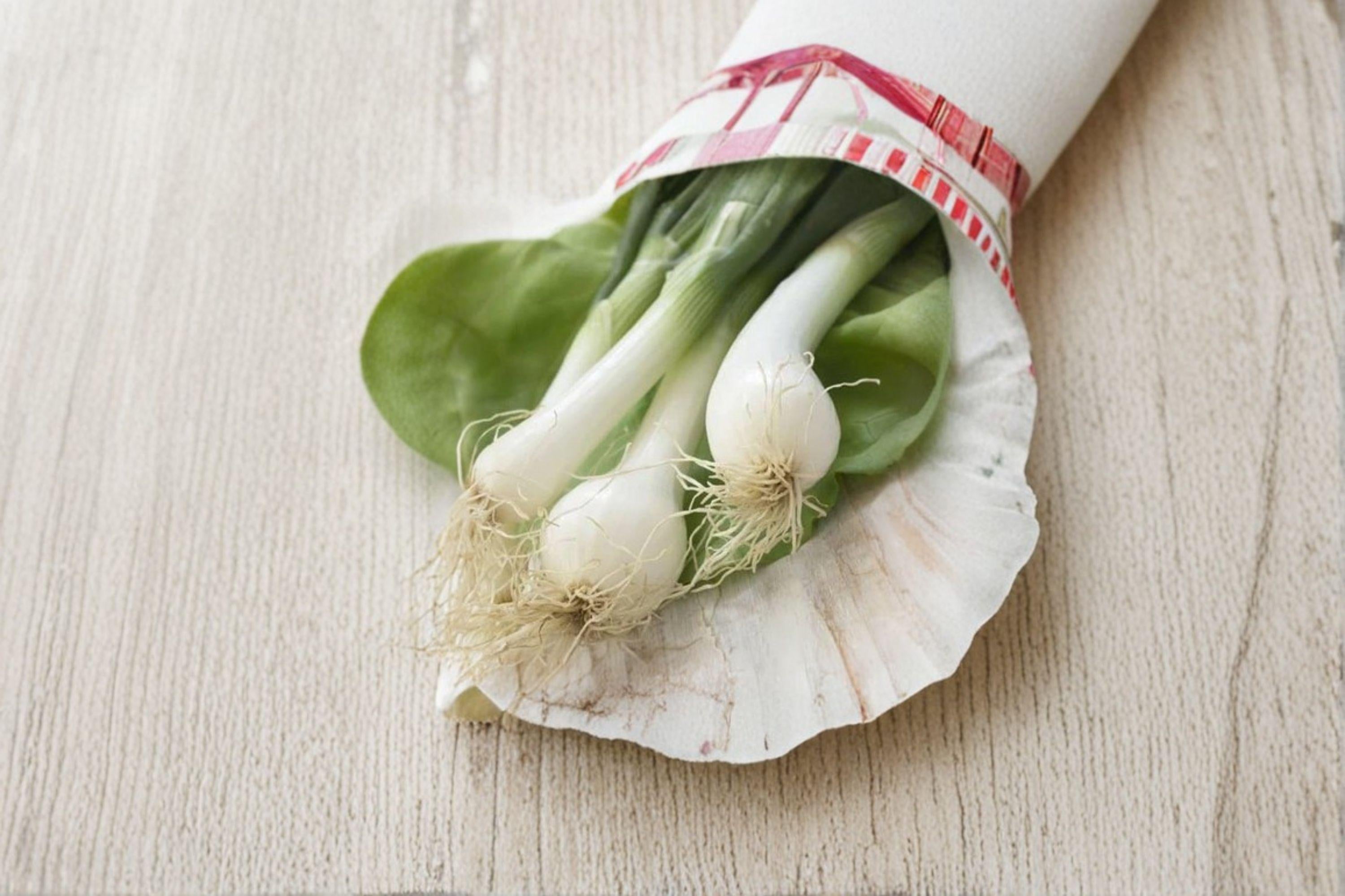 Onion – Blanco Duro 50 Seeds | White Storage Onion | Firm Bulbs | Excellent for Cooking & Keeping