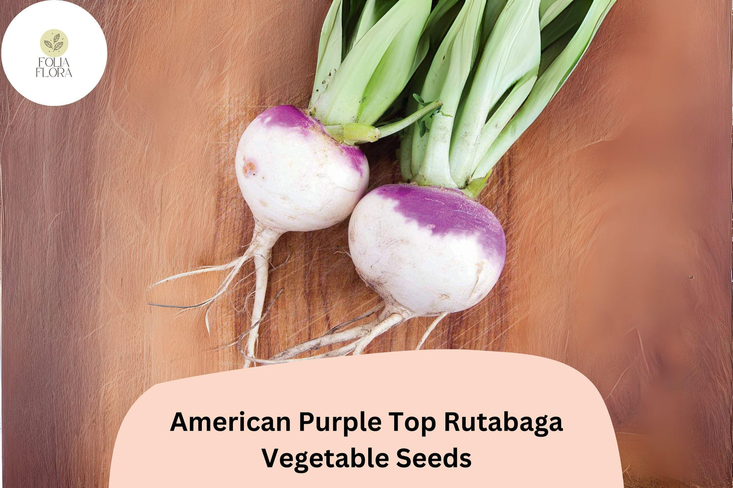 500+ American Purple Top Rutabaga Seeds – Heirloom Brassica Seeds for Garden Planting