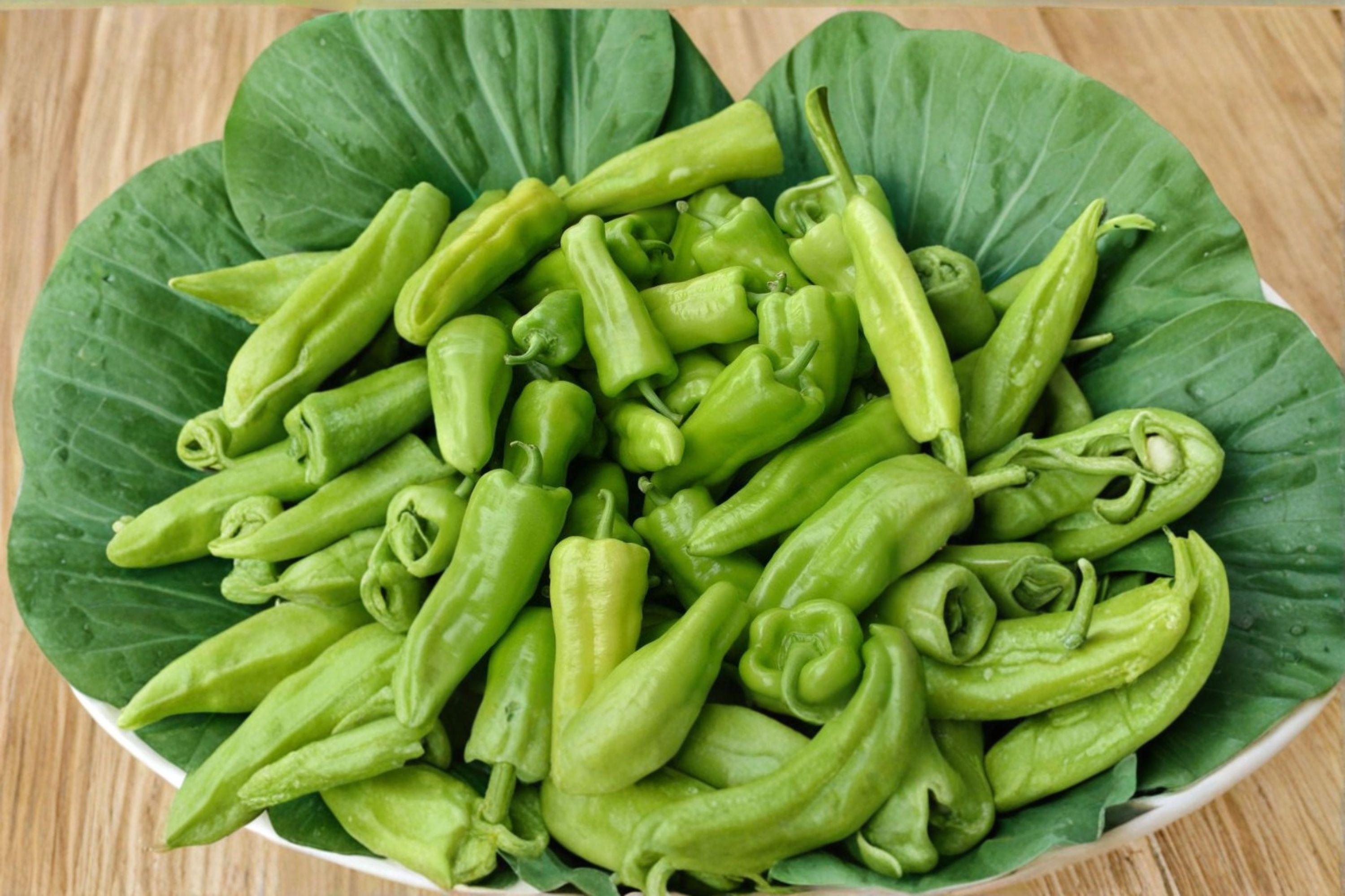 Cubanelle – Sweet Pepper 25 Seeds | Italian Frying Pepper | Mild & Sweet | Thin-Walled and Flavorful