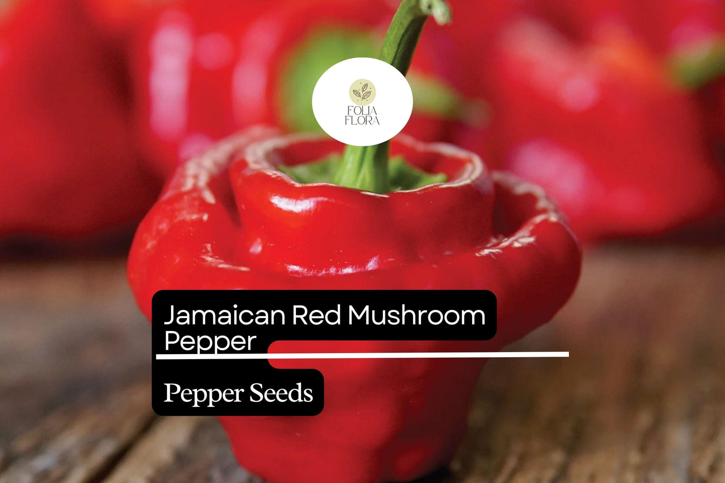20 Jamaican Red Mushroom Pepper Seeds – Capsicum chinense – Heirloom, Spicy & Unique, High-Yield, Non-GMO