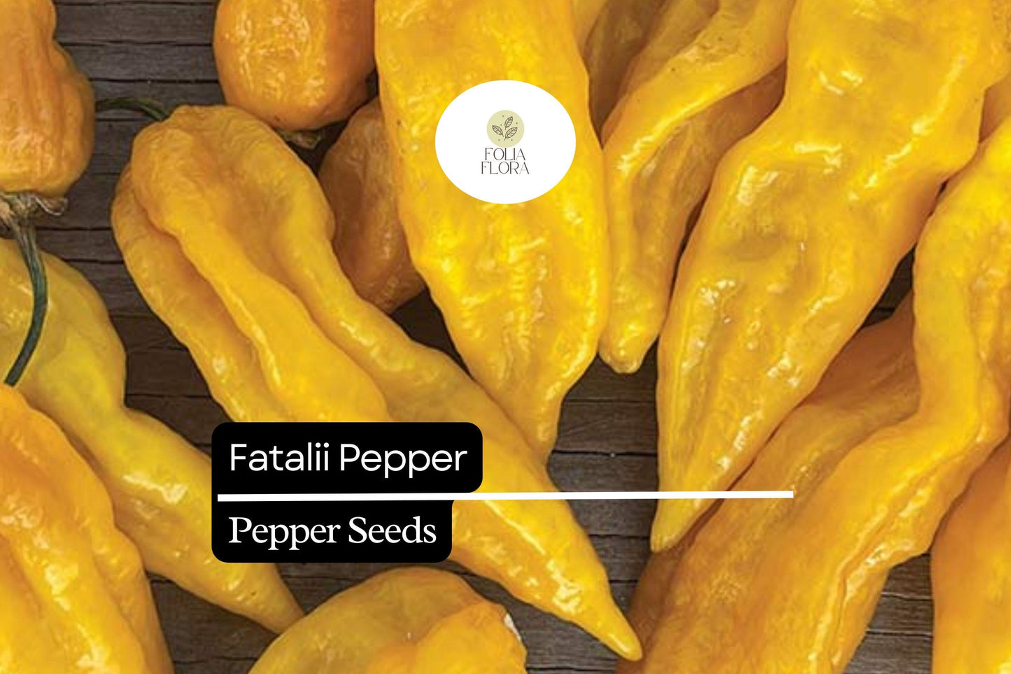 5 Seeds Fatalii Pepper, Capsicum chinense, Rare Fiery Yellow Chili for Exotic Hot Sauces
