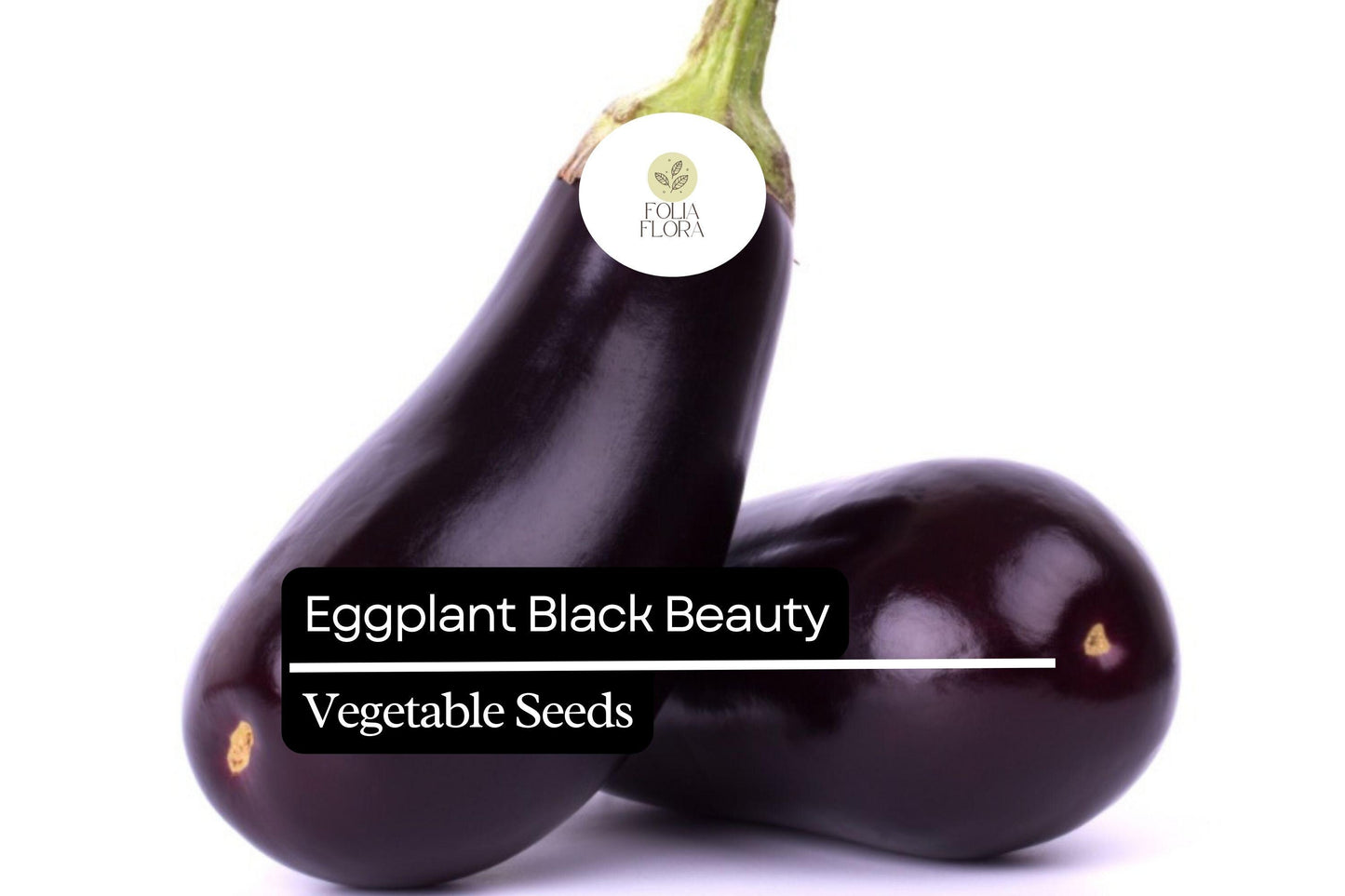 150 Black Beauty Eggplant Seeds – Heirloom, Non-GMO, High-Yield, Classic Variety