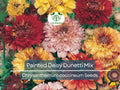 100 Painted Daisy Dunetti Mix Seeds - Chrysanthemum coccineum, Heirloom Perennial, Colorful Blooms, Non-GMO, Pollinator-Friendly