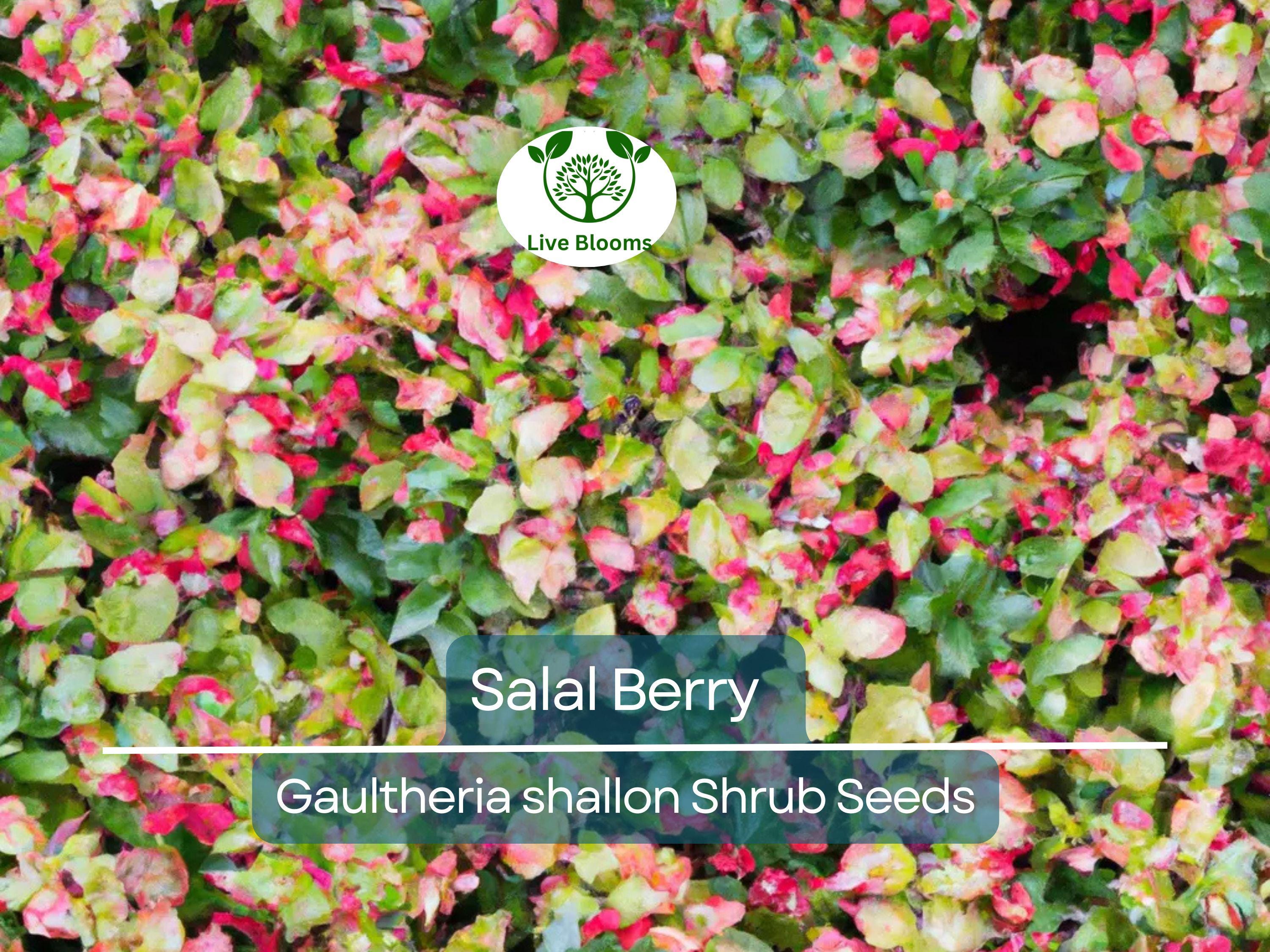 100 Salal Berry Seeds (Gaultheria shallon), Edible Fruits, Evergreen Shrub, Low Maintenance Bush, Wild Berries, Garden Starter, Wildlife