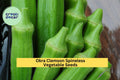 3pcs of 5g Clemson Spineless Okra Seeds – High-Yield, Tender Pods for Summer Gardens, Stir-Fries & Southern Cooking Seeds for Planting