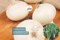 White Onion Sets – Naturally Grown, Non-GMO | 8 oz. (40-60 Bulbs) | Easy to Grow & Store | Shipping Now