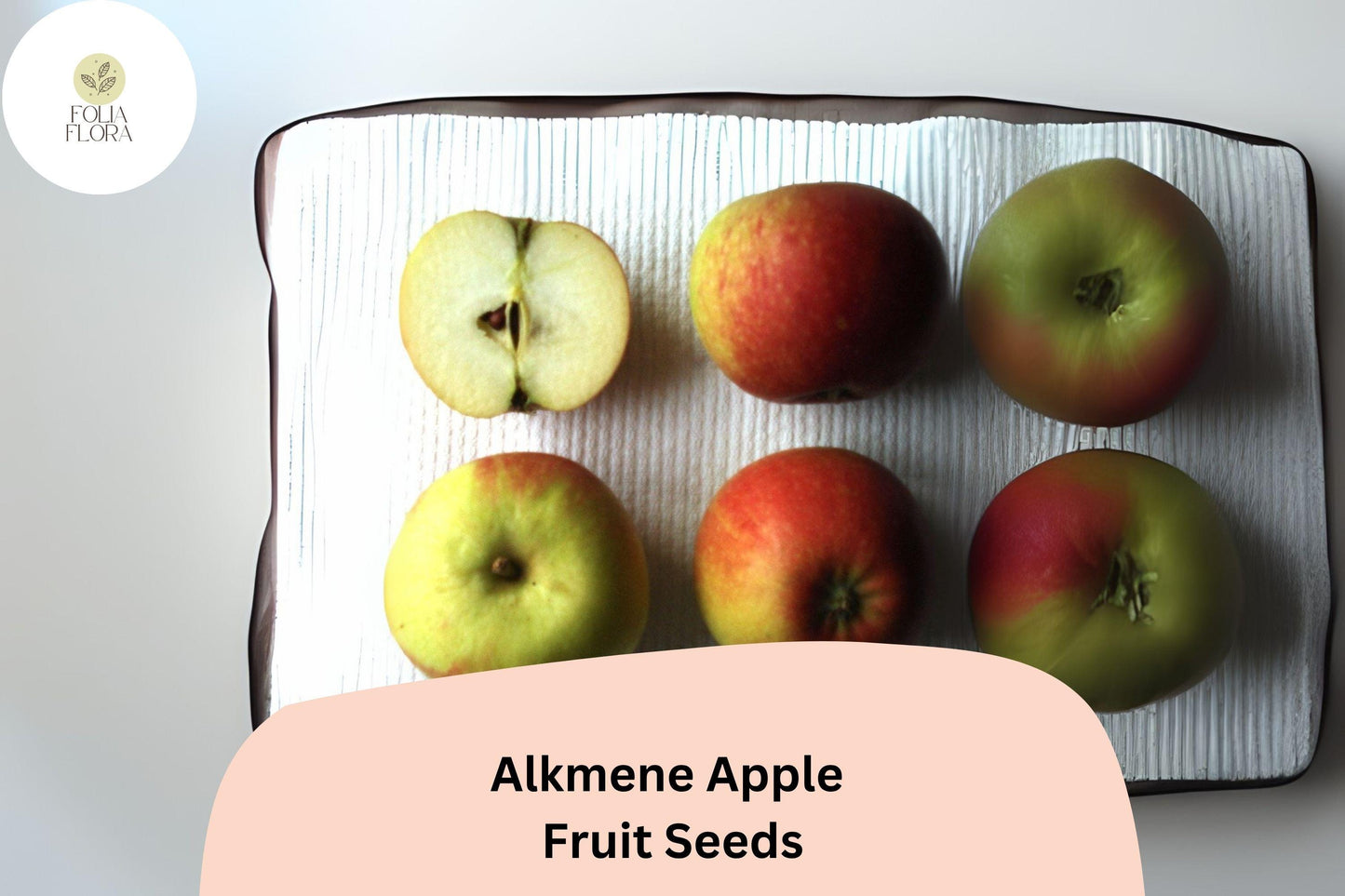 25+ Alkmene Apple Seeds | Crisp Early Heirloom Apple | Malus domestica | Garden Fruit Tree Seeds | Tart-Sweet Flavor