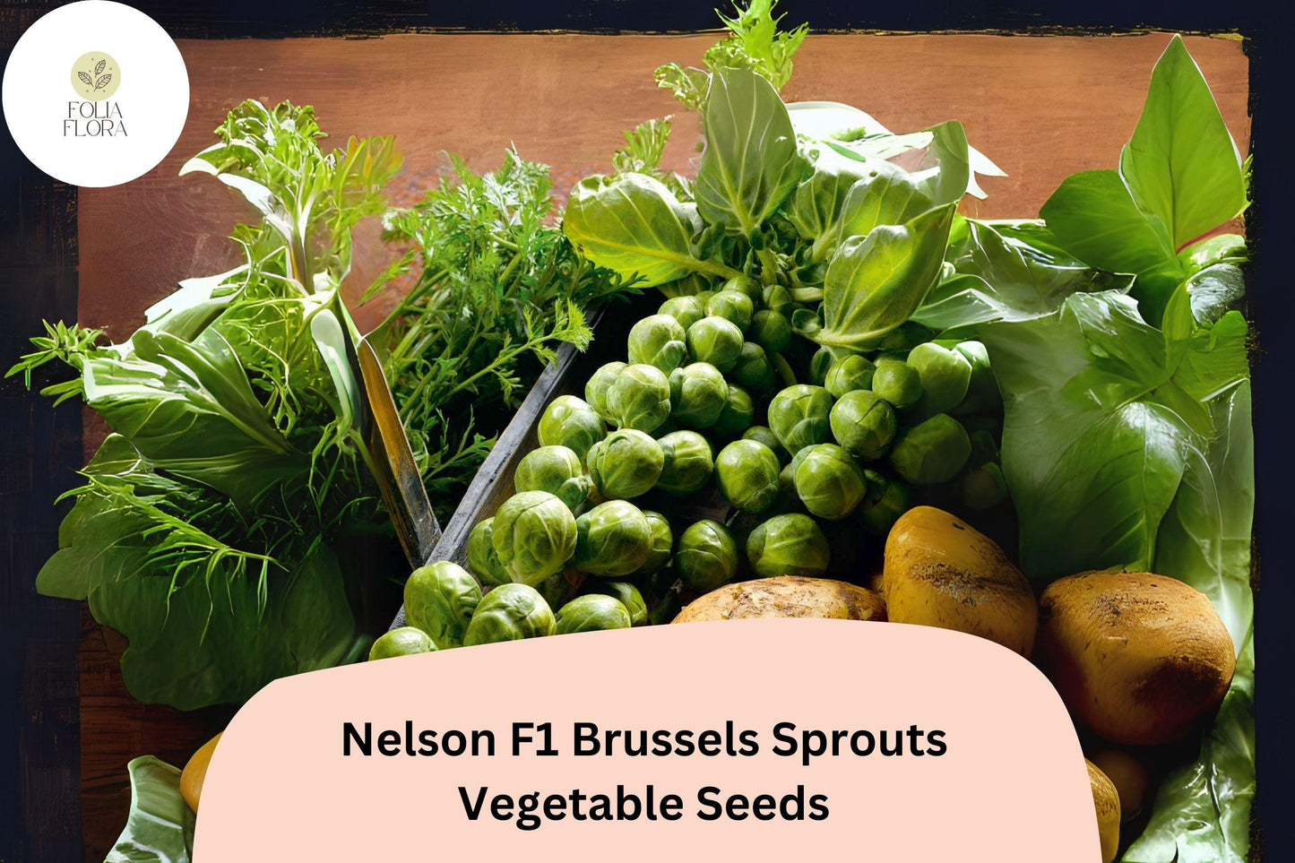 500+ Nelson F1 Brussels Sprouts Seeds – High-Yield Hybrid for Garden & Home Growing