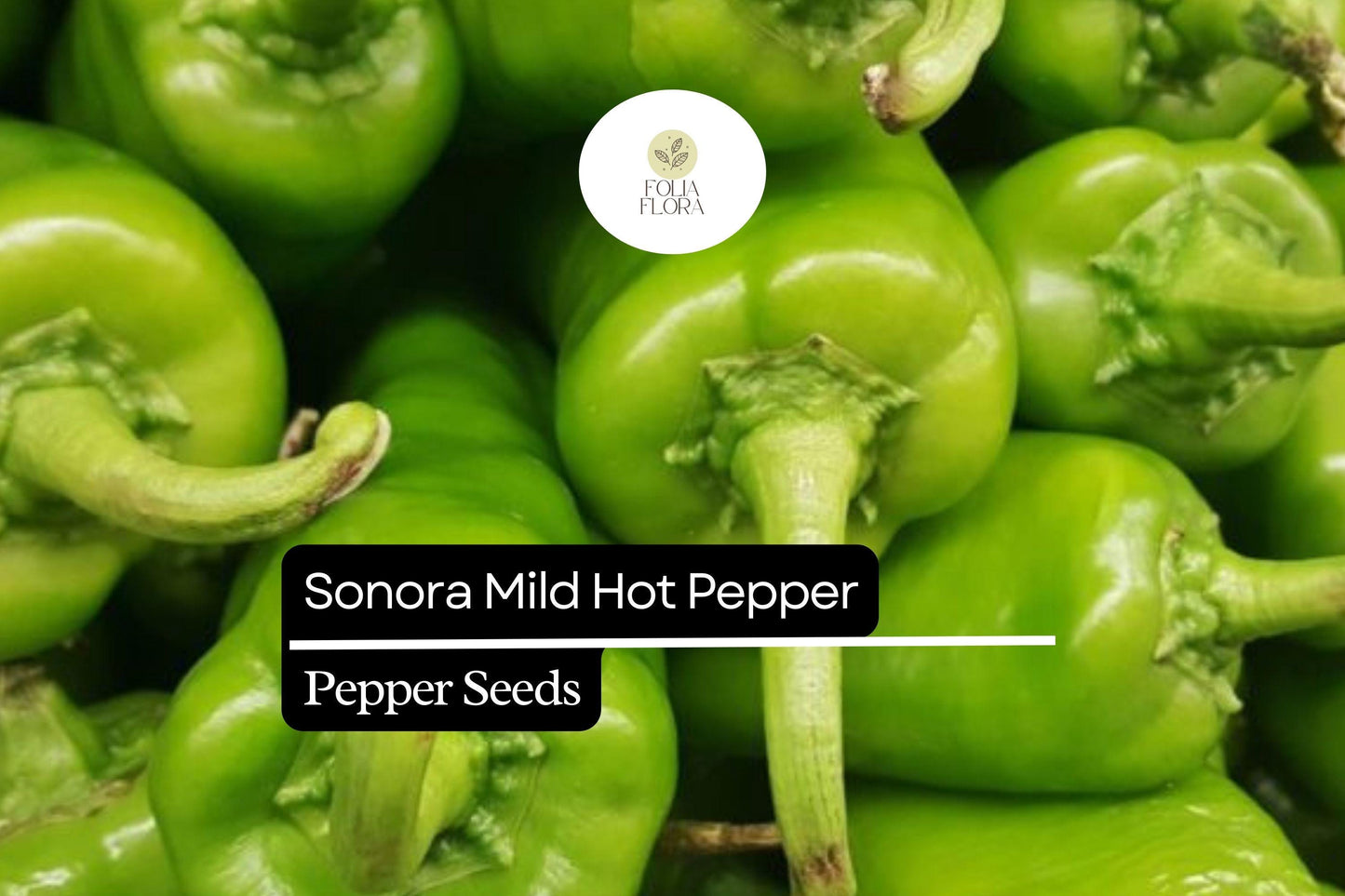 Sonora Mild Hot Pepper Seeds 250mg | Capsicum annuum | Non-GMO, Heirloom, Mild Heat, High-Yield, Perfect for Salsas, Roasting, and Cooking
