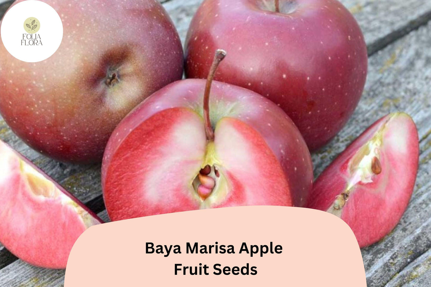 25+ Baya Marisa Apple Seeds for Planting | Red Flesh Apple Tree | Sweet Crisp Fruit