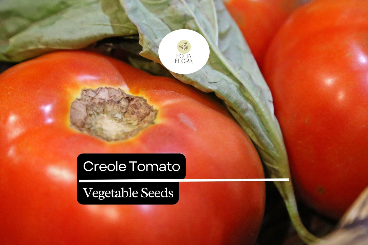 15 Seeds Creole Tomato (Solanum lycopersicum) – Sweet, Juicy, Flavorful Heirloom Variety