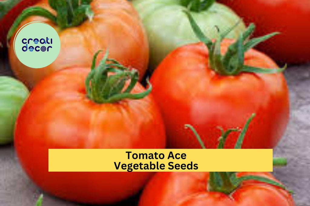 3pcs of 100mg Tomato Ace 55 Seeds – Low Acid Heirloom Tomatoes for Salads & Canning, Great for Backyard Gardeners Seeds for Planting