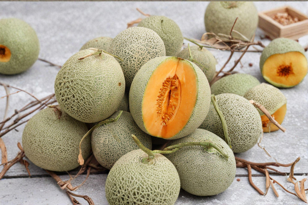 Hales Best Jumbo Melon 35 Seeds | Classic Heirloom Cantaloupe | Sweet Orange Flesh | Reliable Summer Producer