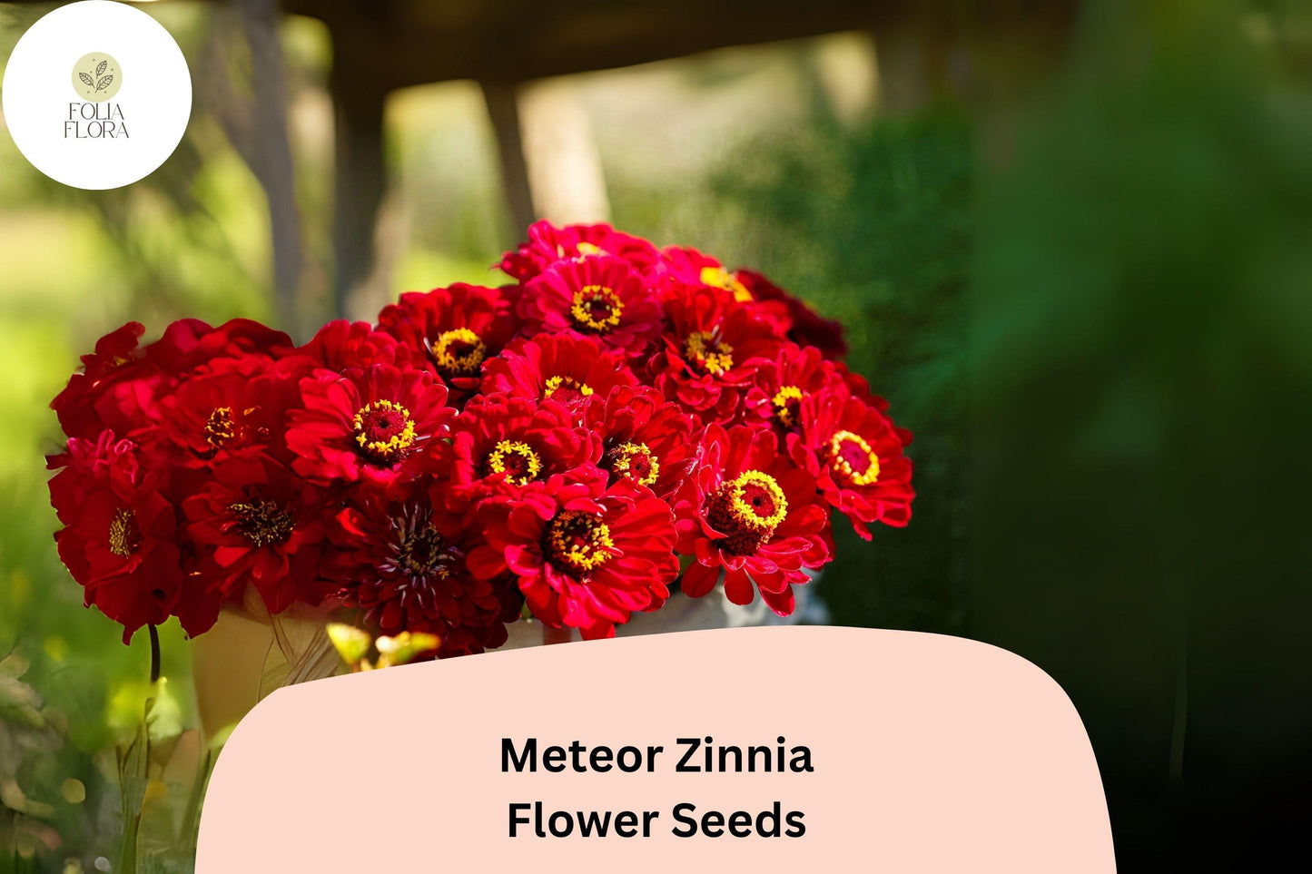 100+ Meteor Zinnia Seeds – Deep Red Blooms for Garden Planting, Borders & Cut Flowers