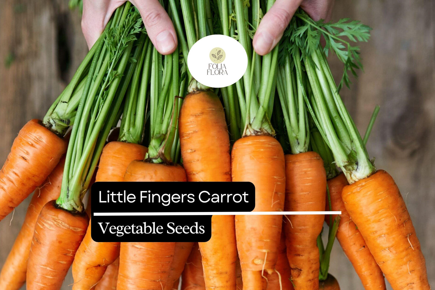 300 Little Fingers Carrot Seeds – Daucus carota – Heirloom, Sweet & Crisp, Mini Baby Carrots